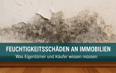 Feuchtigkeitsschäden früh erkennen und richtig handeln – was Eigentümer wissen müssen